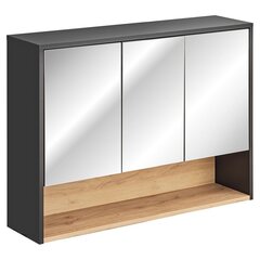 Подвесной шкаф для ванной комнаты Homede Galio, 100 см, серый цвет цена и информация | Homede Мебель и домашний интерьер | hansapost.ee