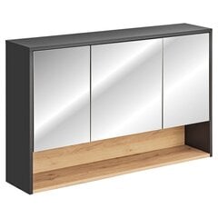 Подвесной шкаф для ванной комнаты Homede Galio, 120 см, серый цвет цена и информация | Шкафчики для ванной | hansapost.ee