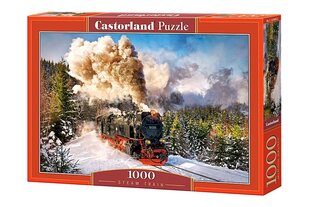 Pusle Castorland Puzzle Steam Train, 1000-osaline hind ja info | Pusled lastele ja täiskasvanutele | hansapost.ee