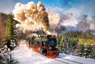 Пазл Puzzle Castorland Steam Train, 1000 деталей цена и информация | Пазлы | hansapost.ee