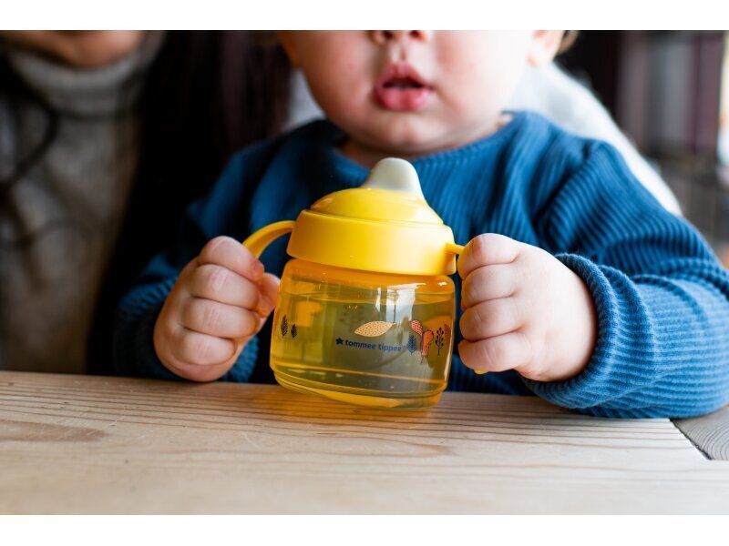 Pudel Tommee Tippee Weaning Sippee, 4 kuud+, 190 ml hind ja info | Lutipudelid ja tarvikud | hansapost.ee