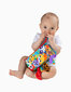 Pehme raamat Playgro Tails of the World, 187967 hind ja info | Beebide mänguasjad | hansapost.ee