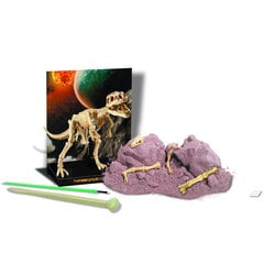 Набор для раскопок 4M Dig a Dinosaur T-Rex цена и информация | Развивающие игрушки для детей | hansapost.ee