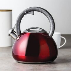 Ambition veekeetja Jasper, 2.9 l price and information | Teapots, coffee pots, water teapots | hansapost.ee