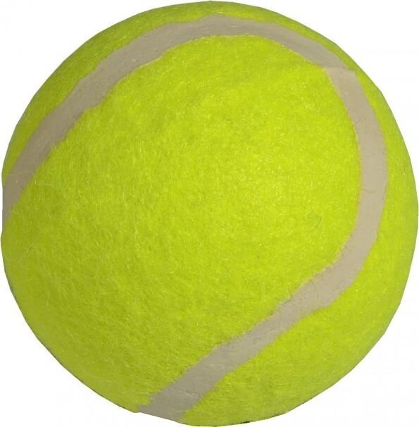 Väli tennisepall Enero, kollane, 1 tk цена и информация | Välitennise tooted | hansapost.ee