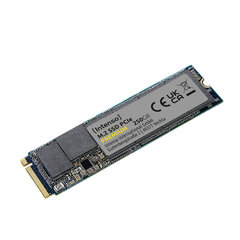 Kietasis diskas INTENSO Premium M.2 PCIe 256GB SSD hind ja info | Intenso Arvuti komponendid | hansapost.ee