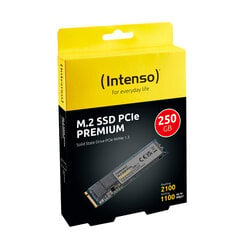 Kietasis diskas INTENSO Premium M.2 PCIe 256GB SSD hind ja info | Intenso Arvuti komponendid | hansapost.ee