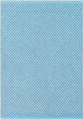 NARMA kahepoolne plasticWeave vaip Diby, sinine, 70 x 100 cm hind ja info | Vaibad | hansapost.ee