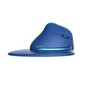 Wireless Ergonomic Mouse Delux M618XSD BT+2.4G RGB (blue) цена и информация | Arvutihiired | hansapost.ee