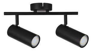 Candellux Colly потолочный светильник 92-01665 цена и информация | Потолочные светильники | hansapost.ee