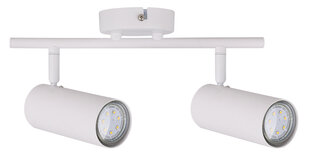 Candellux Colly потолочный светильник 92-01610 цена и информация | Потолочные светильники | hansapost.ee