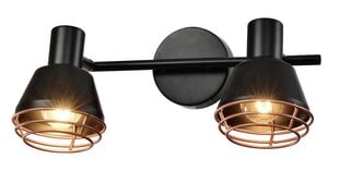Candellux Neria потолочный светильник 92-81780 цена и информация | Потолочные светильники | hansapost.ee