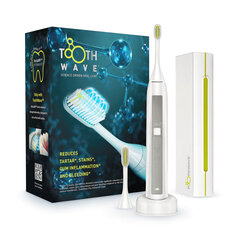 TW1PE3001 цена и информация | Электрические зубные щетки | hansapost.ee