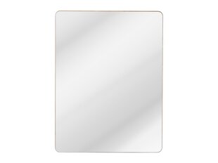Vannitoa peegel 60x80 cm ARUBA hind ja info | Peeglid vannituppa | hansapost.ee