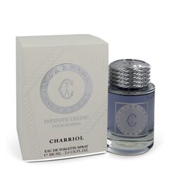 Туалетная вода Charriol Infinite Celtic EDT для мужчин 100 мл цена и информация | Мужские духи | hansapost.ee