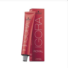 Juuksevärv Schwarzkopf Professional Igora Royal 60 ml, 6-5 Dark Blonde Golden hind ja info | Juuksevärvid | hansapost.ee