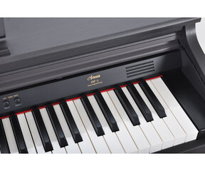 Elektriline klaver Artesia DP-3 hind ja info | Klahvpillid | hansapost.ee