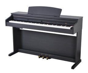 Elektriline klaver Artesia DP-3 hind ja info | Klahvpillid | hansapost.ee
