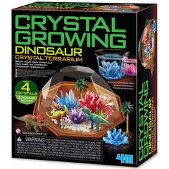 Кристаллический террариум с динозаврами Crystal Cultivation 4M  цена и информация | 4M Товары для детей и младенцев | hansapost.ee