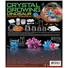 Кристаллический террариум с динозаврами Crystal Cultivation 4M  цена и информация | Развивающие игрушки для детей | hansapost.ee