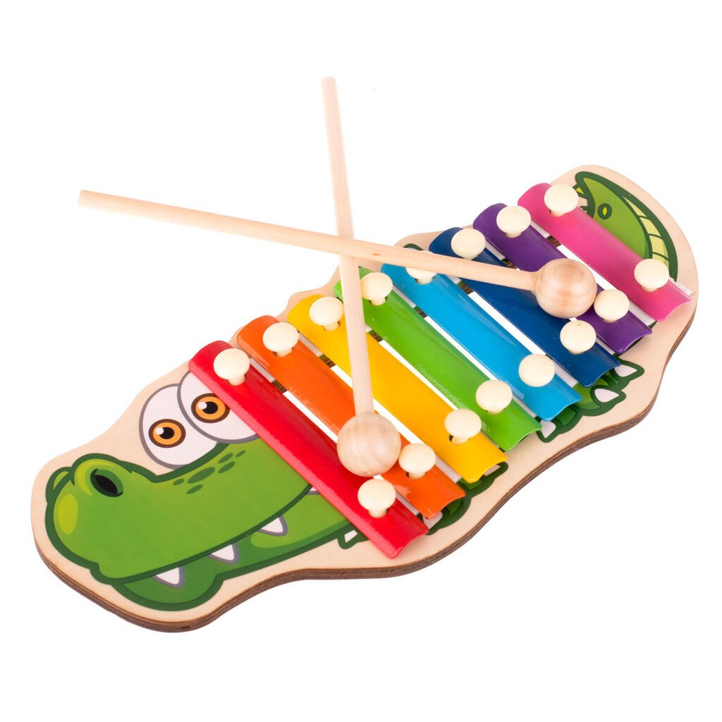 Värvilised muusikataldrikud hind ja info | Arendavad laste mänguasjad | hansapost.ee