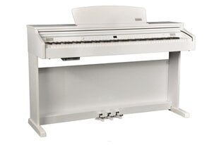 Artesia DP-3 + 88 klahviga elektriline klaver (valge) hind ja info | Klahvpillid | hansapost.ee