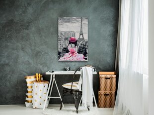 Картинка по номерам Париж Взгляд на Эйфелеву башню 40х60 см цена и информация | Живопись по номерам | hansapost.ee