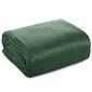 Voodikate Luiz4, roheline, 200 x 220 cm hind ja info | Pleedid, voodikatted ja päevatekid | hansapost.ee