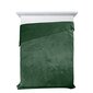 Voodikate Luiz4, roheline, 170 x 210 cm цена и информация | Pleedid, voodikatted ja päevatekid | hansapost.ee