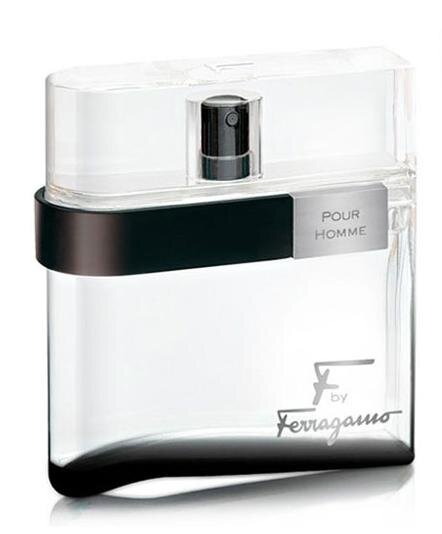 Tualettvesi Salvatore Ferragamo F by Ferragamo Black Pour Homme EDT meestele 100 ml цена и информация | Parfüümid meestele | hansapost.ee