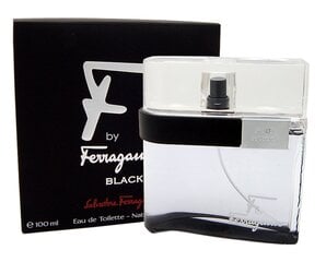 Tualettvesi Salvatore Ferragamo F by Ferragamo Black Pour Homme EDT meestele 100 ml hind ja info | Parfüümid meestele | hansapost.ee