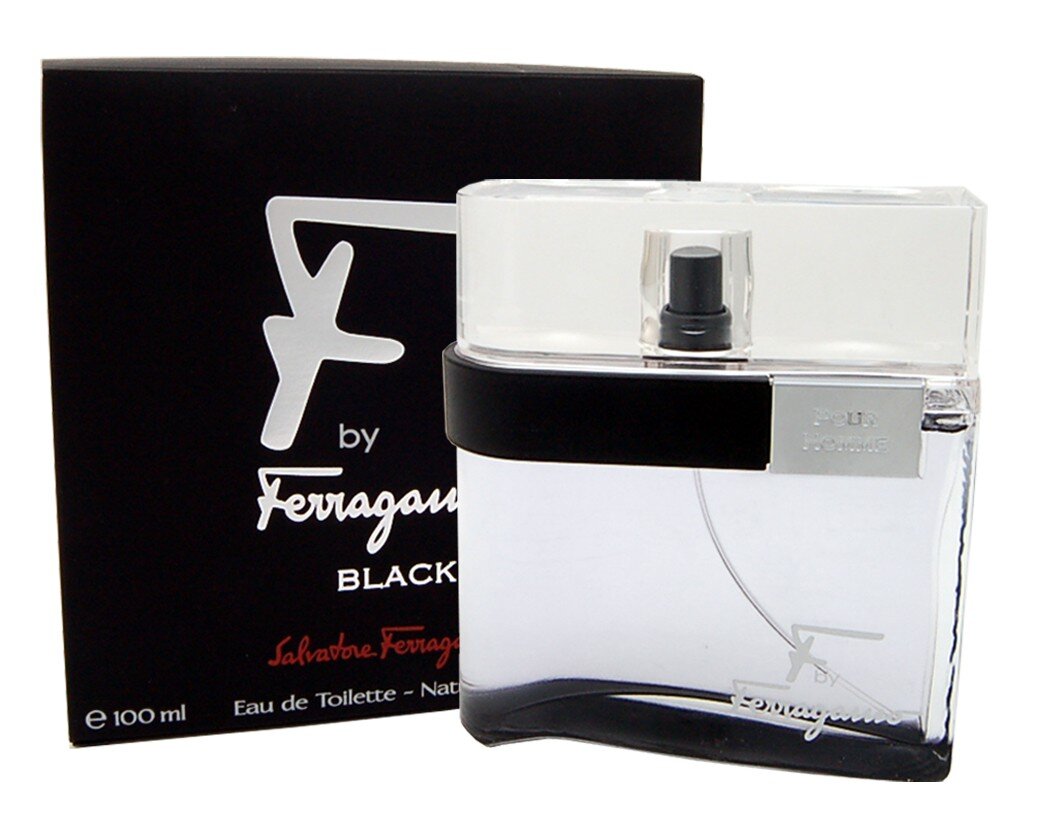 Tualettvesi Salvatore Ferragamo F by Ferragamo Black Pour Homme EDT meestele 100 ml цена и информация | Parfüümid meestele | hansapost.ee