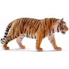 Фигурка азиатского тигра Schleich цена и информация | Развивающие игрушки для детей | hansapost.ee