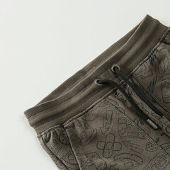 Cool Club спортивные штаны для мальчиков, CCB2520214 цена и информация | Штаны для мальчиков | hansapost.ee