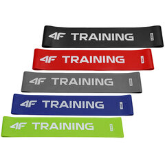 Резины тренировочные 4F многоцветные H4L22 AKS007 90S цена и информация | Фитнес-резинки, гимнастические кольца | hansapost.ee