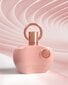 Naiste parfüüm Supremacy Femme Pink Edp, 100 ml hind ja info | Parfüümid naistele | hansapost.ee