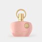 Naiste parfüüm Supremacy Femme Pink Edp, 100 ml цена и информация | Parfüümid naistele | hansapost.ee