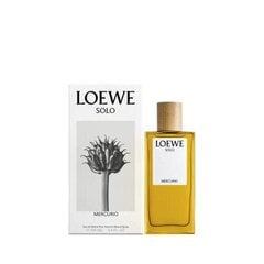 Мужская парфюмерия Loewe Solo Mercurio EDP (100 ml) цена и информация | Духи для Него | hansapost.ee
