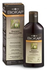 Šampoon värvitud juustele, 200 ml hind ja info | BioKap Parfüümid, lõhnad ja kosmeetika | hansapost.ee
