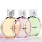 Chanel Chance Eau Tendre EDT naistele 150 ml hind ja info | Parfüümid naistele | hansapost.ee