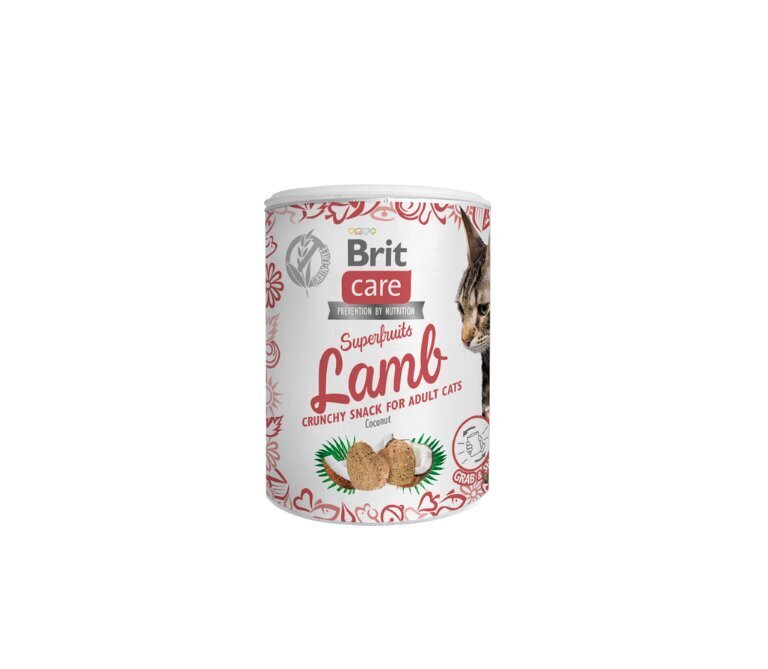 Brit Care Cat Snack SuperFruits Lamb kassimaius lambalihaga 100g цена и информация | Kasside maiused | hansapost.ee