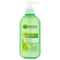 Garnier цена и информация | Аппараты для ухода за лицом | hansapost.ee