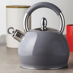 Ambition veekeetja Creamy, 2,9 l price and information | Teapots, coffee pots, water teapots | hansapost.ee