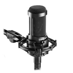 Кардиоидный конденсаторный микрофон Audio Technica AT2035 цена и информация | Микрофоны | hansapost.ee