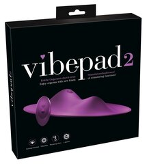 Vibraator Vibepad 2 цена и информация | Вибраторы | hansapost.ee