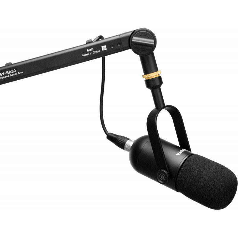 Boya mikrofon BY-DM500 Studio hind ja info | Mikrofonid | hansapost.ee