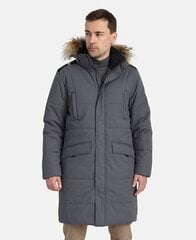 Мужское пальто Huppa Werner 200 г 1 12318120*10048, серое цена и информация | Huppa Мужская одежда | hansapost.ee