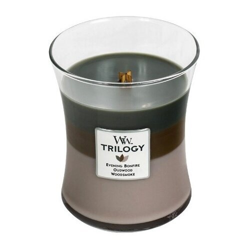 WoodWick lõhnaküünal Cozy Cabin Trilogy Vase, 609.5 g цена и информация | Küünlad, küünlajalad | hansapost.ee