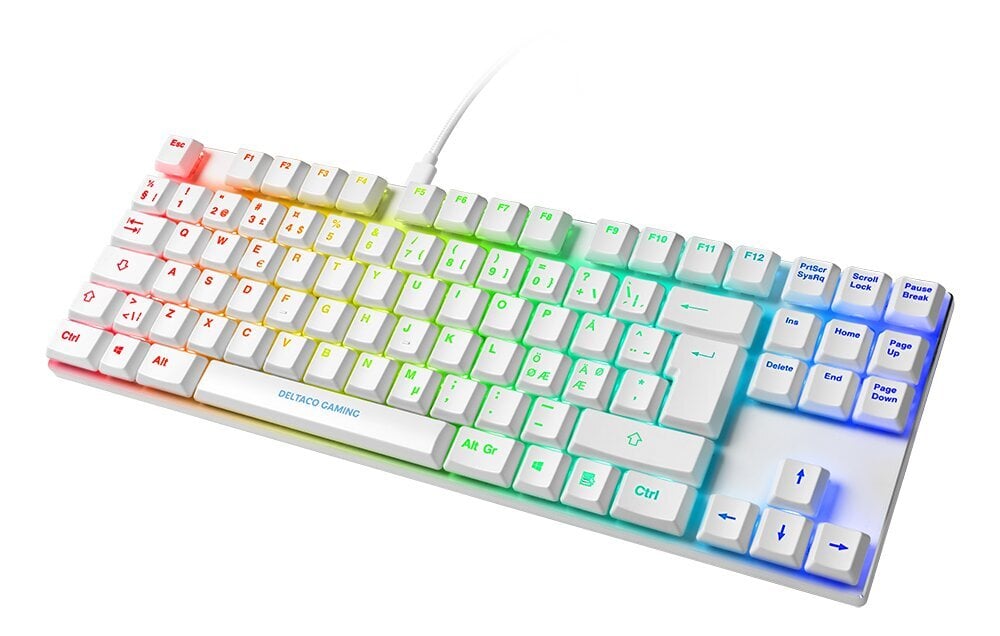 Deltaco Gaming GAM-111-W-UK RGB EN hind ja info | Klaviatuurid | hansapost.ee