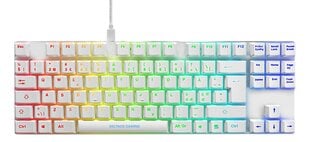 Deltaco Gaming GAM-111-W-UK RGB EN цена и информация | Клавиатура с игровой мышью 3GO COMBODRILEW2 USB ES | hansapost.ee